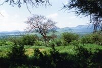 Tsavo-West