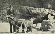 Carl Hagenbeck
