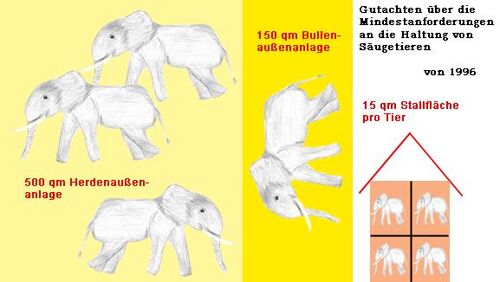 Elefantenhaltung