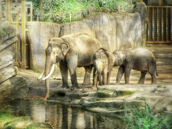 Wildlands Adventure Zoo Emmen