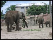 Tierpark Berlin4