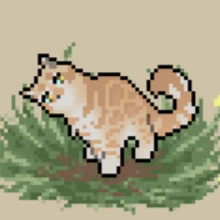 Wrenswoop | Element Clans Wiki | Fandom