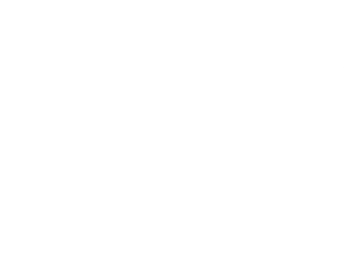 Project Primeval Element Title