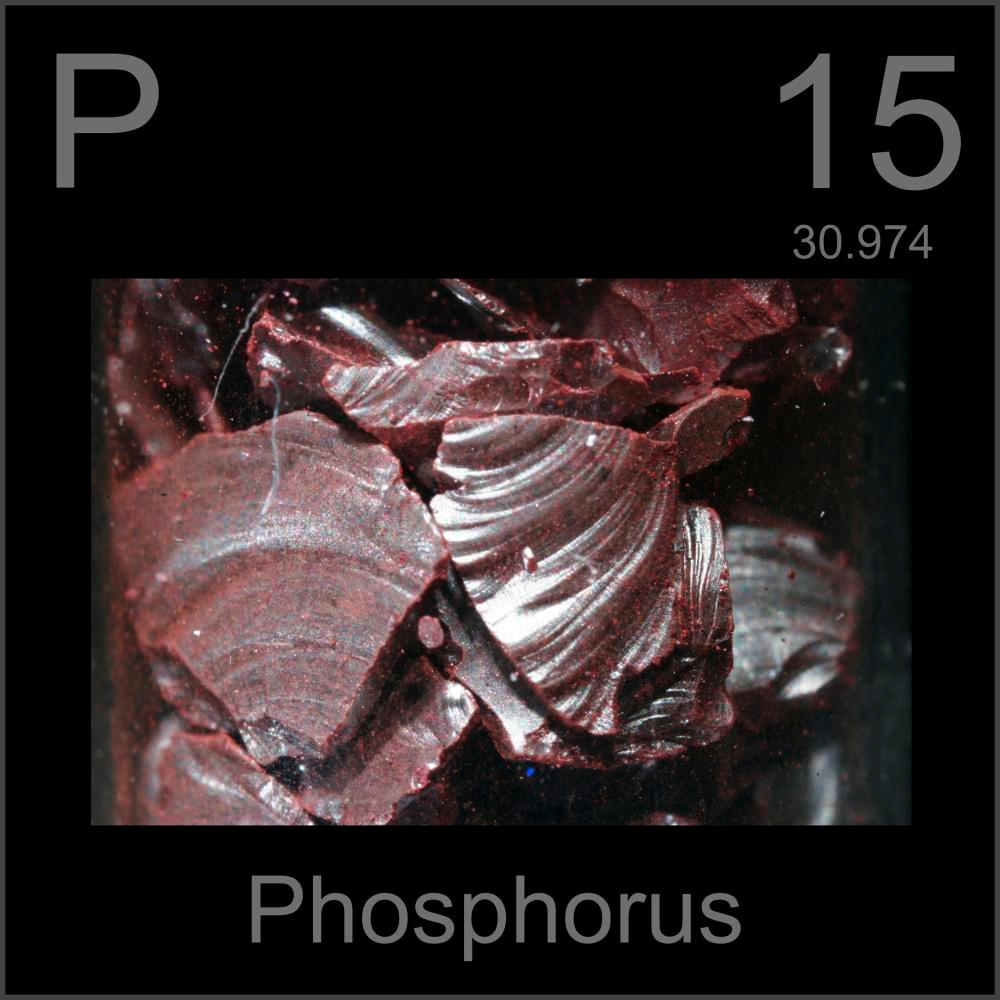 Фосфор в химической таблице менделеева Sell an Element- Phosphorus by Mackenzie Van Helten YouTube