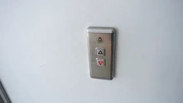 dmg indicator dmg indicator