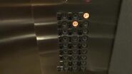 Westy AE buttons