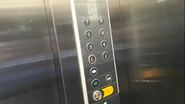 Fujitec elevator car station with CP-D1 buttons.