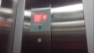 A Schindler elevator indicator showing roof floor (RF).