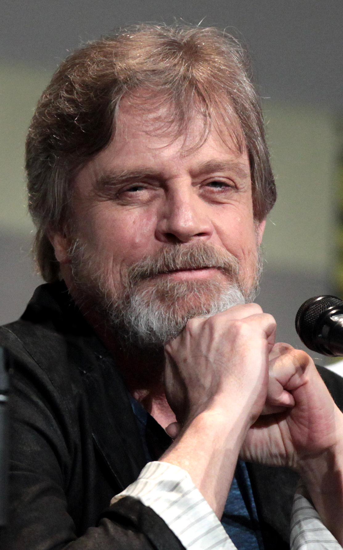 Mark Hamill, Disney Wiki