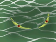 Anna Game 1.png (107 KB) Anna's starting background