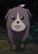 The puppy in the anime.