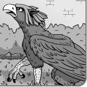 Griffin1.png