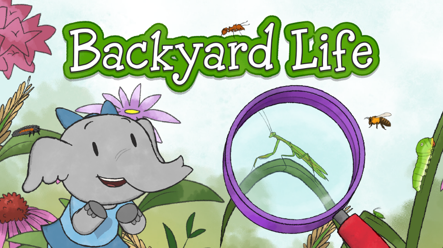 🕹️ Play Elinor Wonders Why Pond life Game: Free Online Elinor Pond Ecosystem Simulation Game for Kids