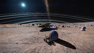 Anemones, planetary ring, SRV and Python