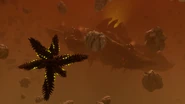 Titan Cocijo in Sol