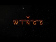 Pilot Training - Wings
