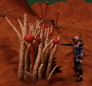 Fungoida Setisis - White.png (3.5 MB) Fungoida Setisis - White