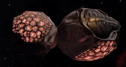 Thargoid probe close-up