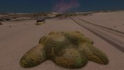 Stratum excutitus Lime