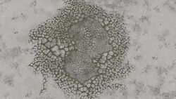Bacterium bullaris Red