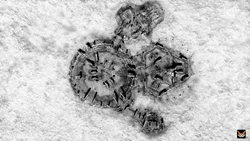 Map-Bowl-ancient small 003-bw