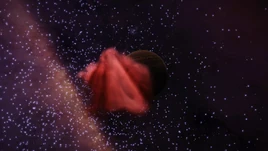 Experimental Habitat