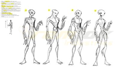 推測的守護者樣貌