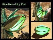 Ripe Meta Alloy Pod