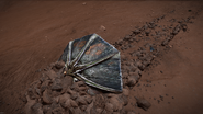 Thargoid Scout crashed