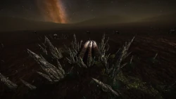 Таргоидские «Наросты»