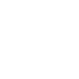 Fuel Rats Logo 2