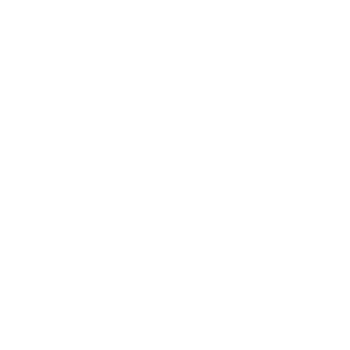 Fuel Rats Logo 2