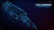 Fleet Carrier schematic view