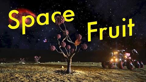 Space Fruit Catalogue Elite Dangerous