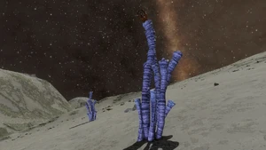 Sinous tubers Caeruleum