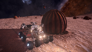 Space-Pumpkins-at-Mahon-Research-Base