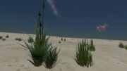 Tussock ignis Green