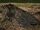 Bug Killer Crashed Anaconda