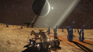 Sinuous Tuber and SRV