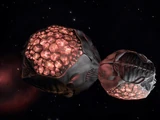 Thargoid Probe