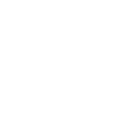 Coriolis icon as seen from System View