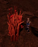 Fungoida Setisis - Orange.png (8.07 MB) Fungoida Setisis - Orange