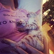 Think Wallace was happy to see his Mum! 💤💤💤 he's GROWN