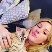 I very often find myself with a Wallace on me