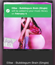 Feb 4th Bubblegum Brain