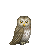 C1001-forest-assassin.png