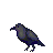 C731-Shopkeeper crow.png