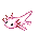 Ambystoma.png