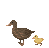 C974-arrow-duck.png