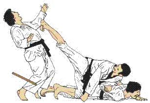 Physiology of Judo Choke  Forensic Medicine Section